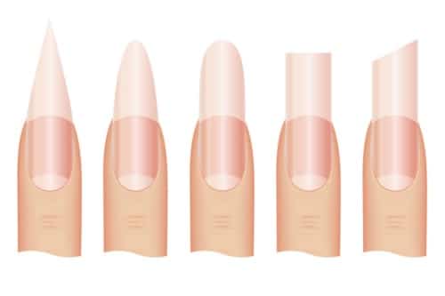 7 Different Nail Shapes to Try in 2024 - MyGlamm